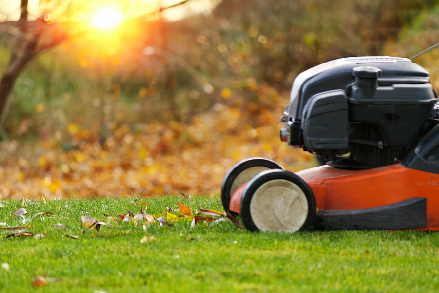 How To Choose The Right Lawn Care Service For Your Yard in Santa Rosa Beach, FL